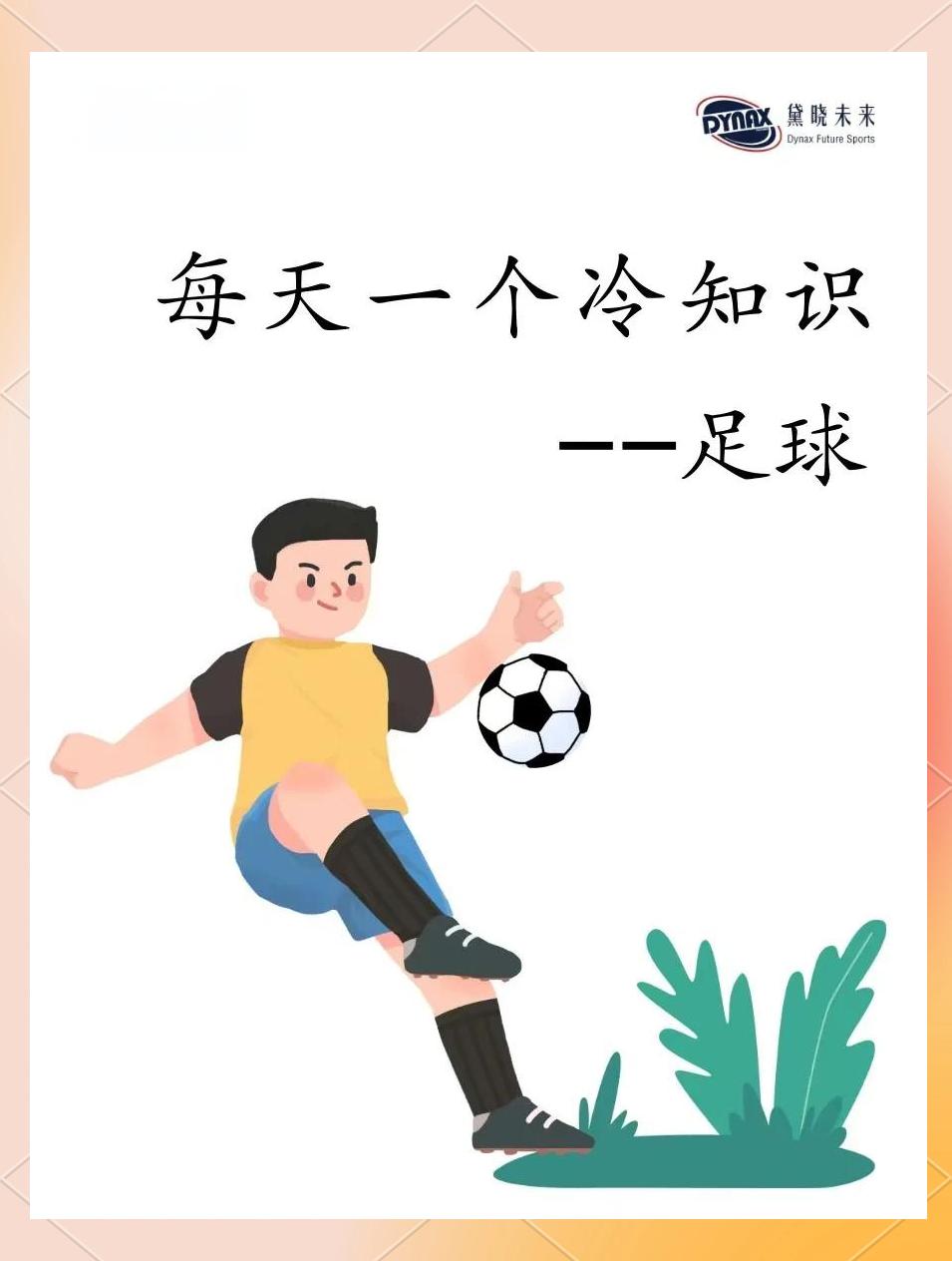 包含青少年足球“成长档案”系统全面上线，助推精细化人才培养的词条