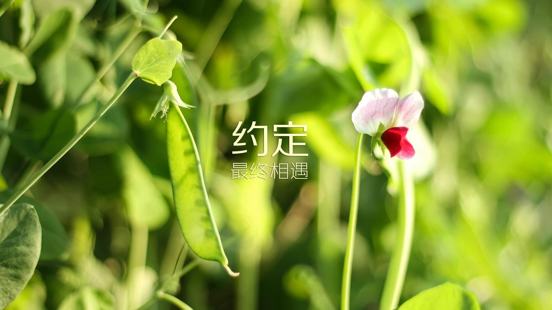 【数据洞察】赛季关键指标走向与球队表现关系，球队赛季总结