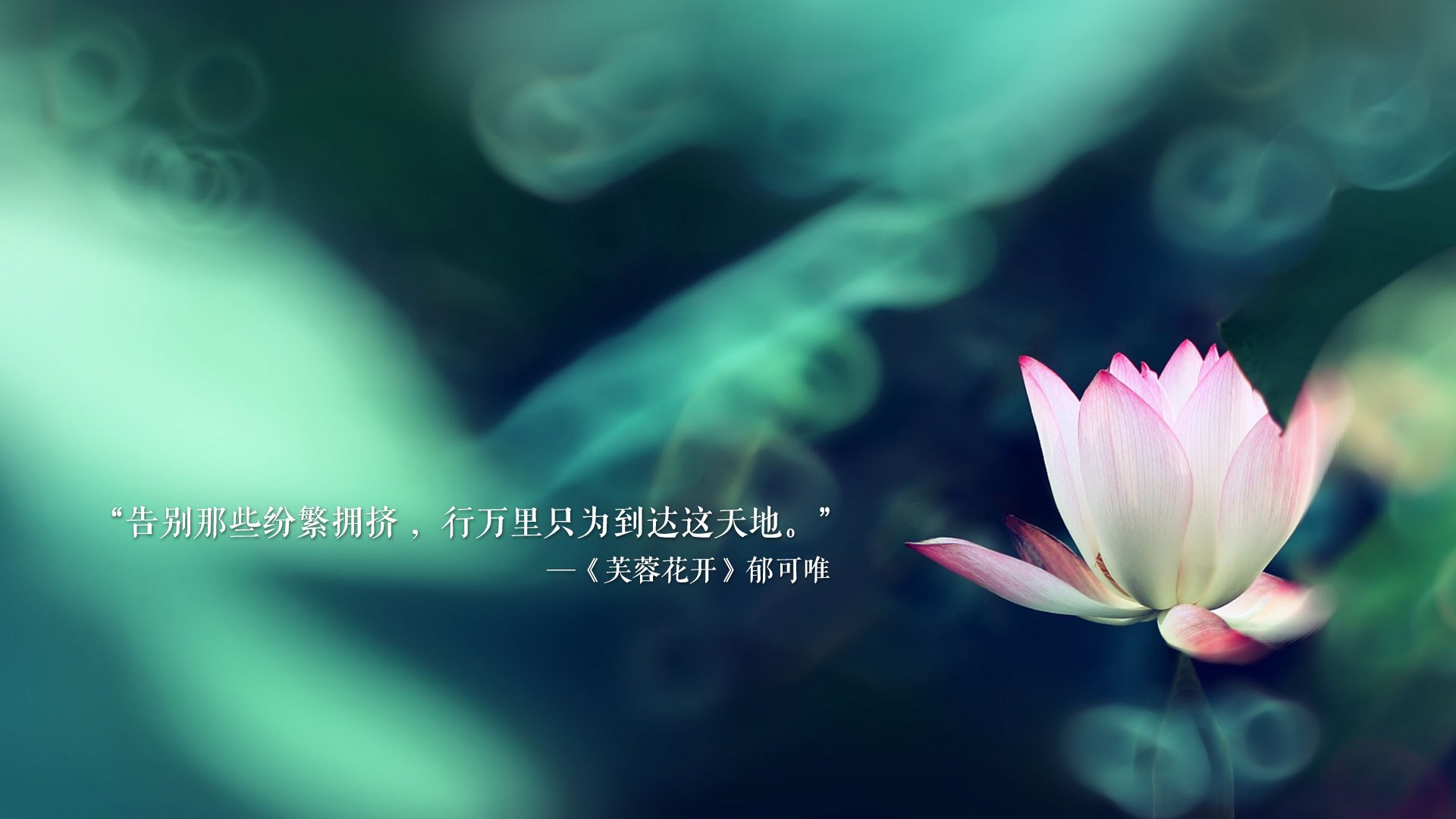 西班牙男足交出精彩奥运答卷，西班牙男子足球