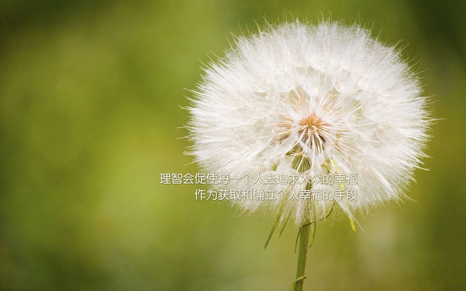 荣耀的争夺：球员们为了尊严拼尽全力，的址荣耀