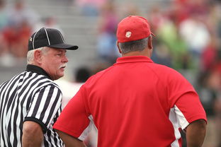 开云kaiyun-意甲裁判语义分析辅助判罚准确性的应用探讨，意甲裁判名单