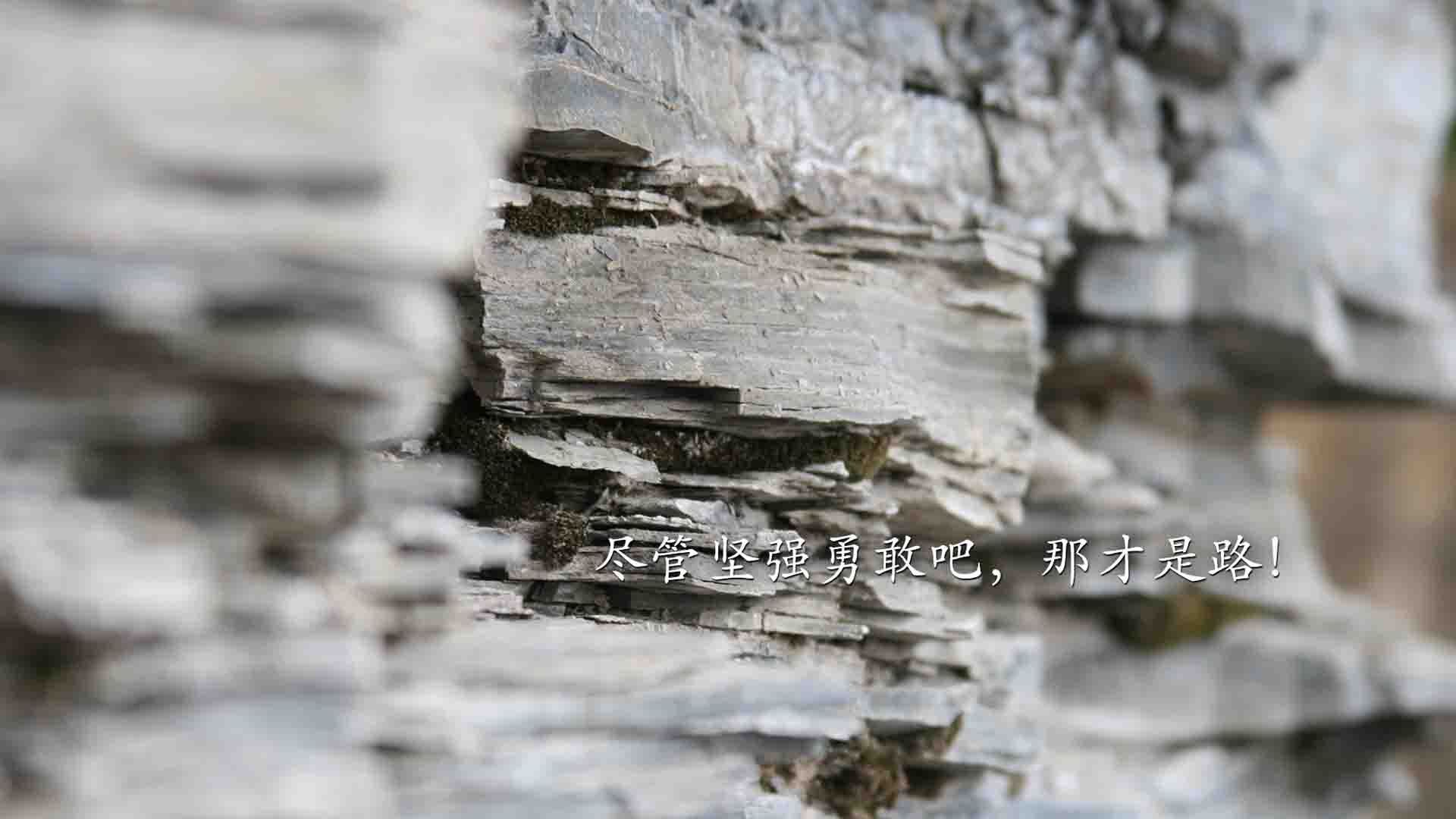 亚洲杯国足爆冷 数据分析揭示背后真相,亚洲杯国足出线