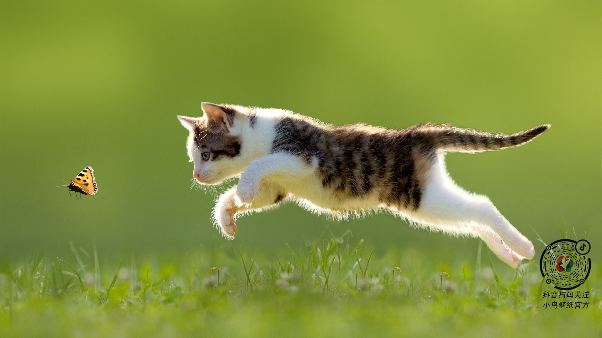体育培训机构行业规范标准正式实施,体育培训机构需要什么许可证