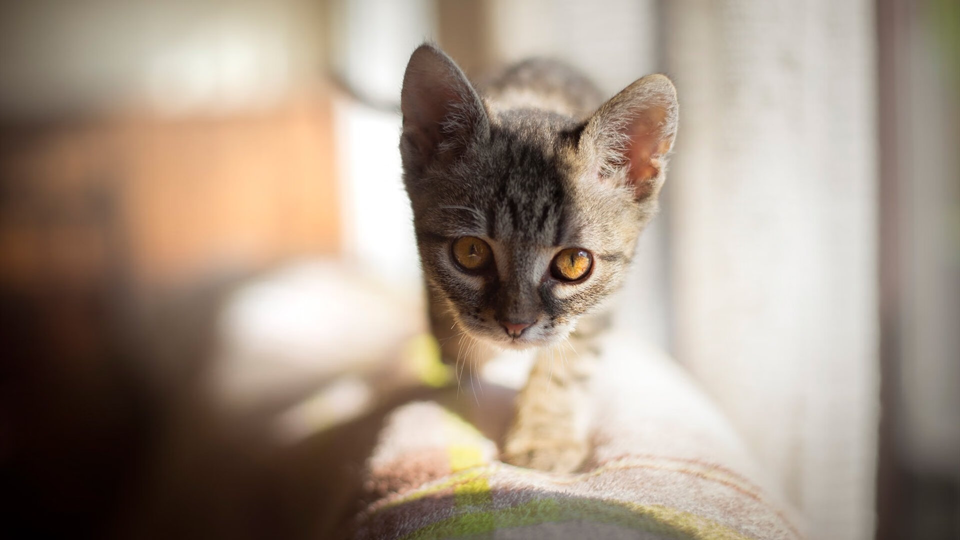 开云入口-国际热身赛国足逆袭 球员拼劲值得肯定，国足热身赛比赛结果