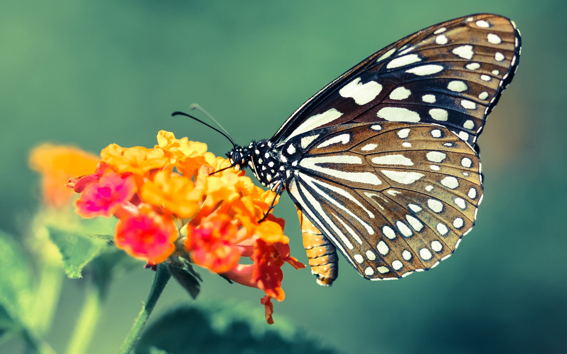 奥预赛中国青年队战胜 球迷期待未来表现,2021奥预赛