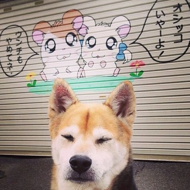 开云官网-校园篮球训练目标是否明确发展方向，校园篮球发展的意义