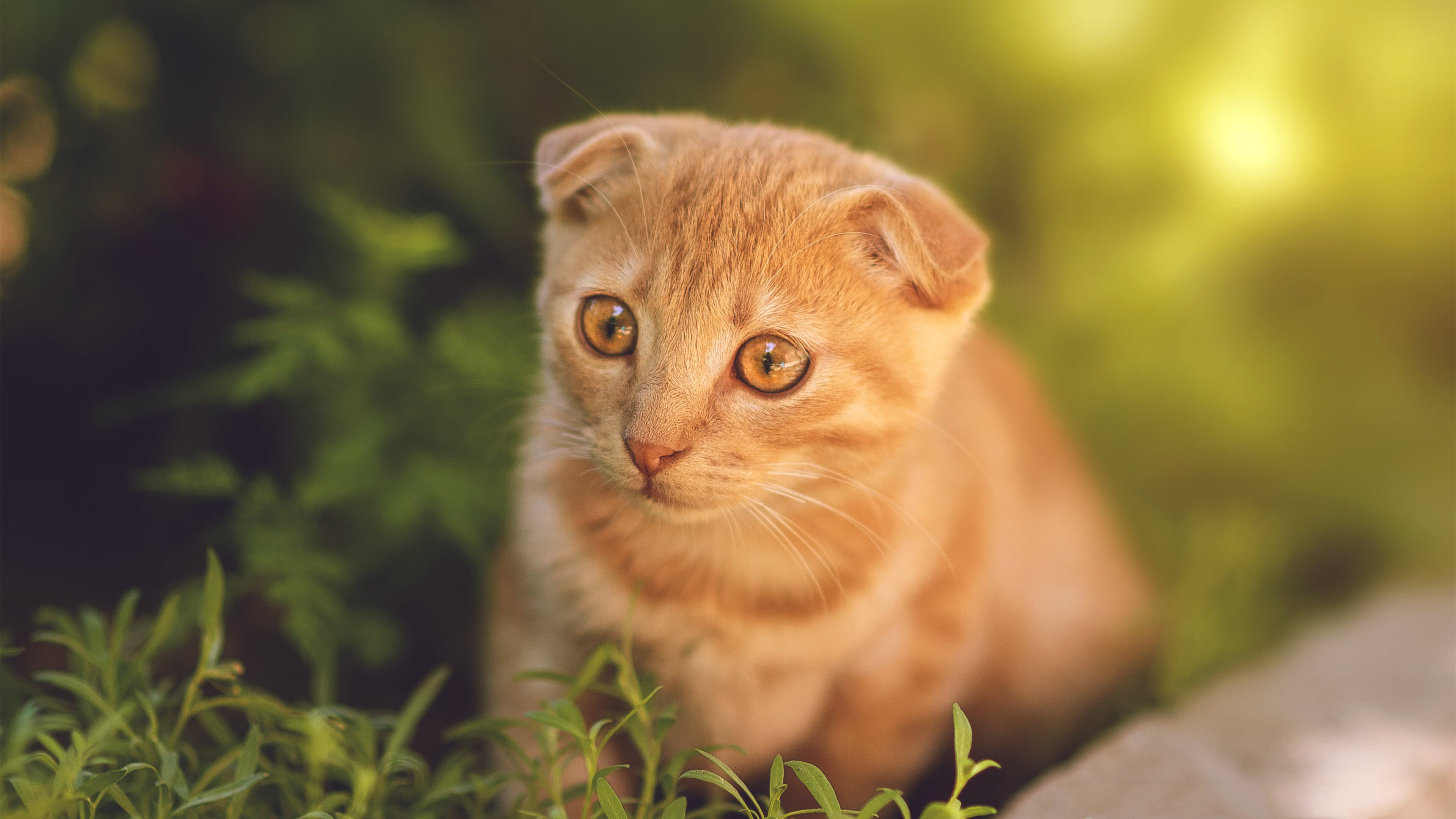 kaiyun.com-滑雪场所安全检查全面开展，滑雪场安全生产检查