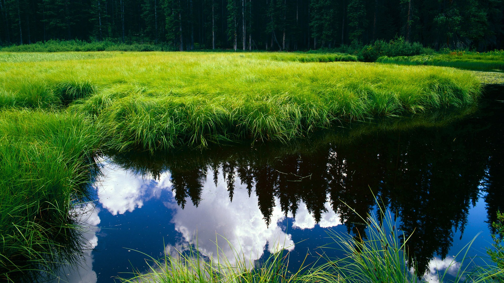 欧洲杯慢镜头：经典瞬间的完美还原，欧洲杯让你心碎