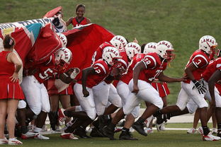 开云中国-球迷助威声点燃比赛氛围，球迷助威口号