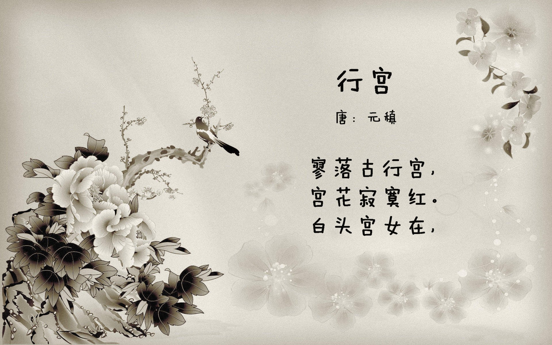 美洲杯球队的战略布局,美洲杯才十支球队