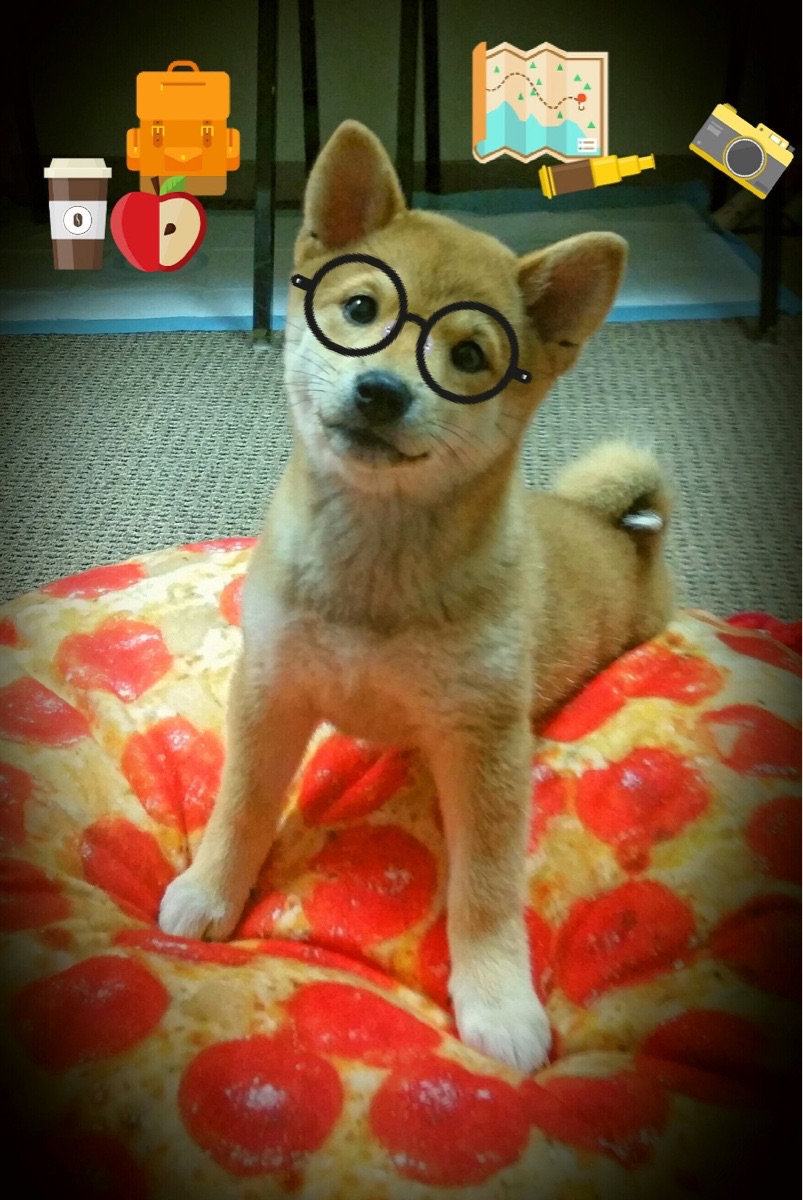 开云官网APP下载-英格兰男篮在国际比赛中表现稳定，逐步走向世界舞台