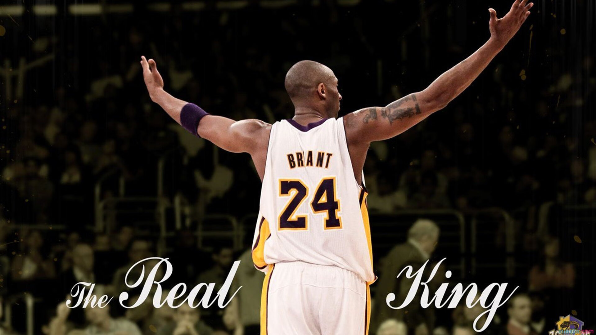 开云真人体育娱乐-终场“绝杀夜”,“冠军归属”瞬间点燃全场,终极绝杀